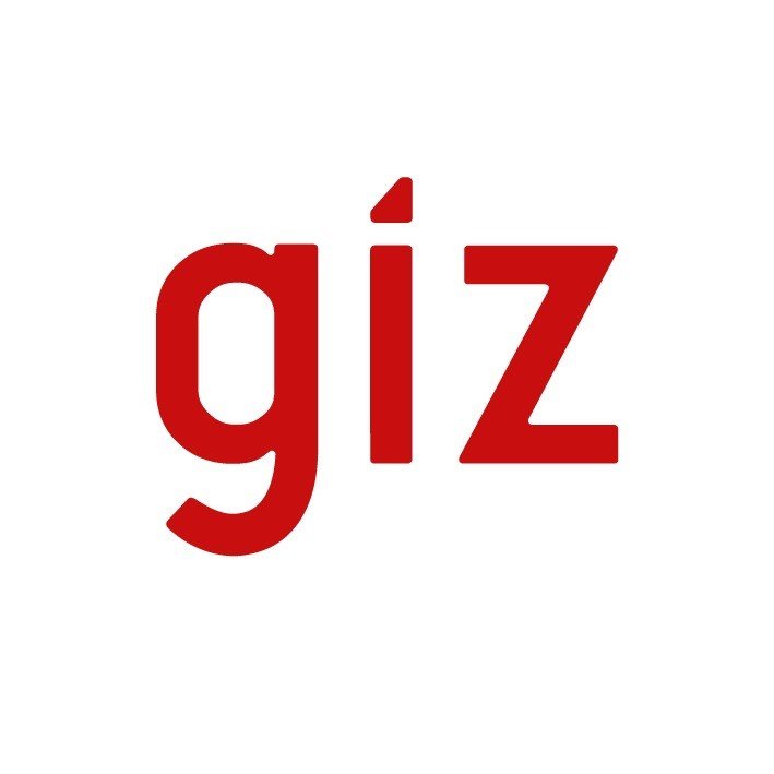 GIZ logo